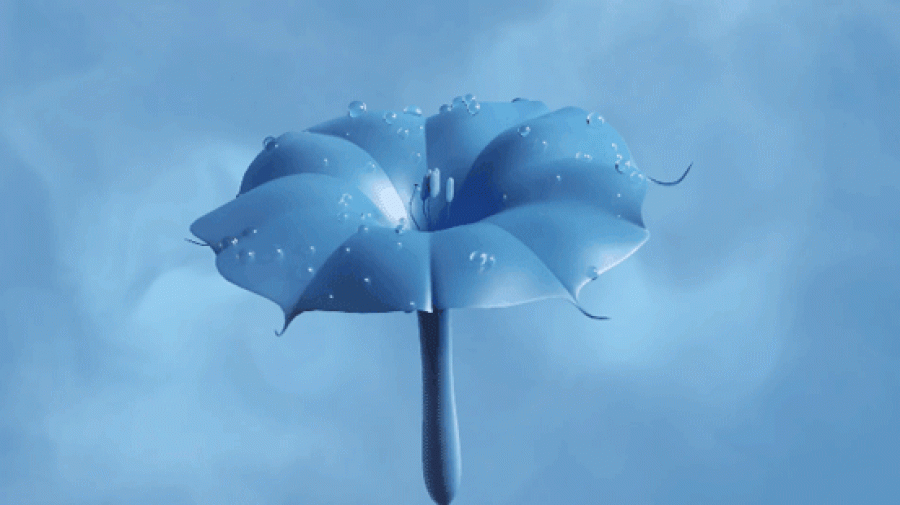 微信图片_20220516102930.gif